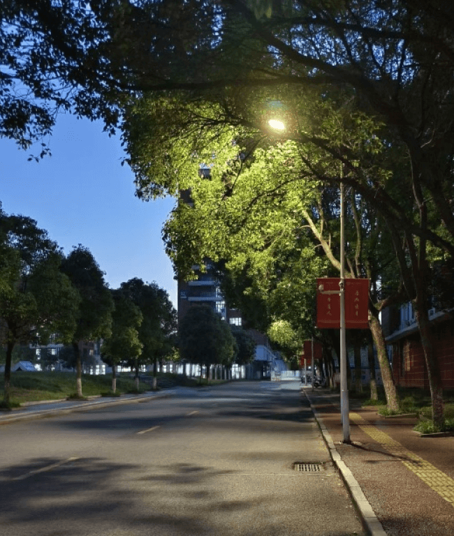 学校医院-太阳成集团tyc9728